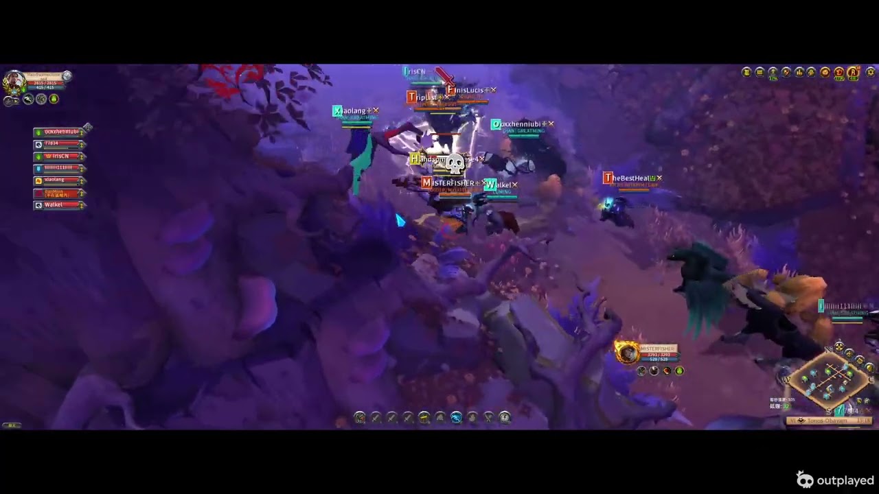 Albion EU ROA Greatming 12 02 2026 彈奶
