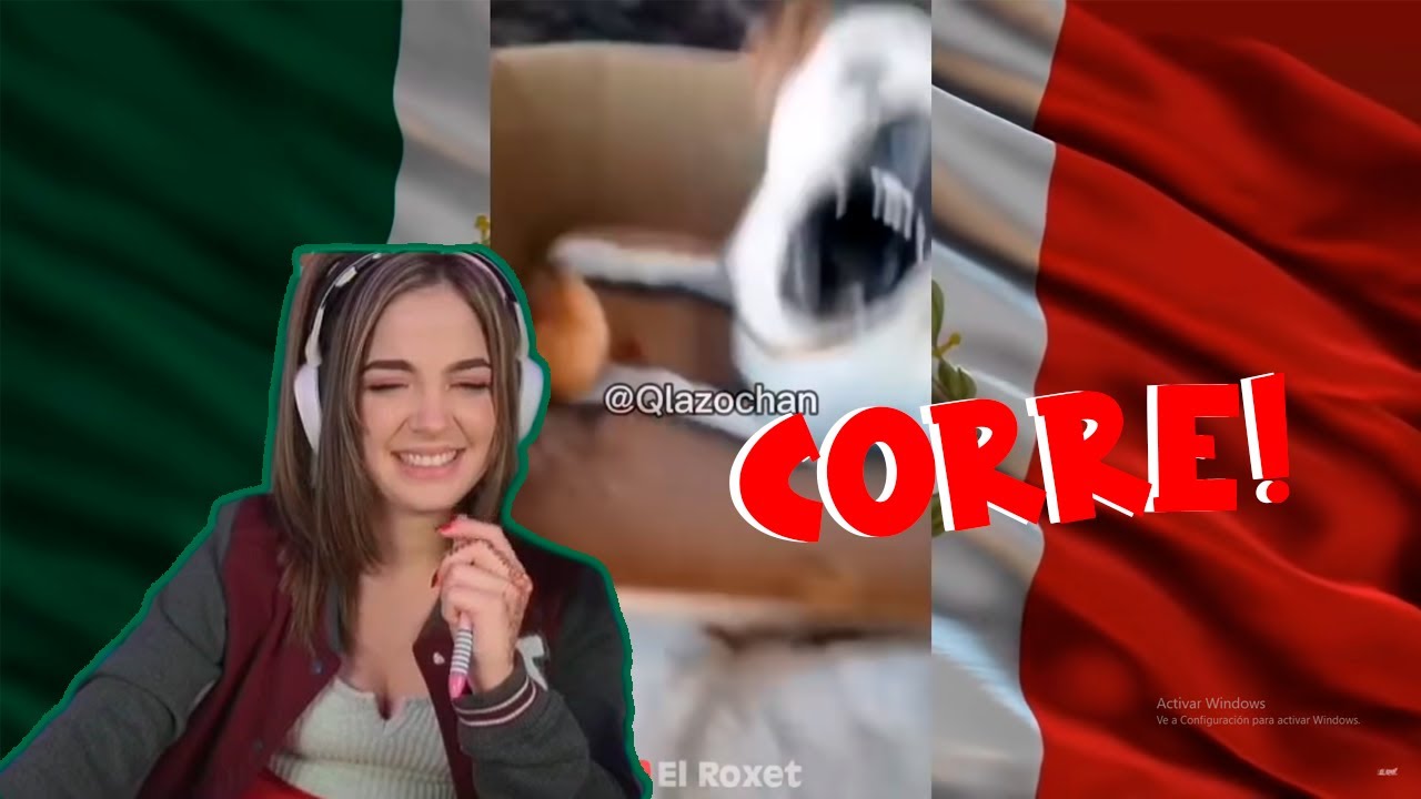 Staryuuki Reacciona a El Roxet Humor Viral Mexicano #73
