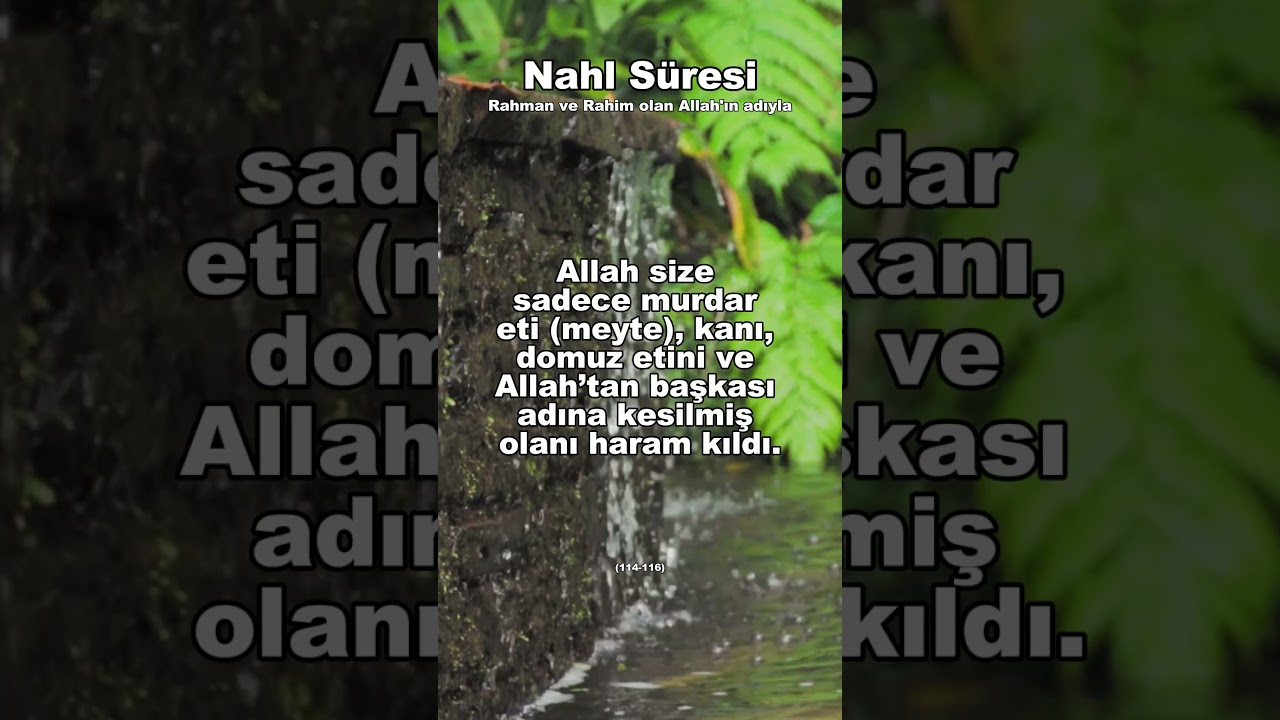 744-) Nahl Süresi (114-116) Türkçe Kuran Hatmi 