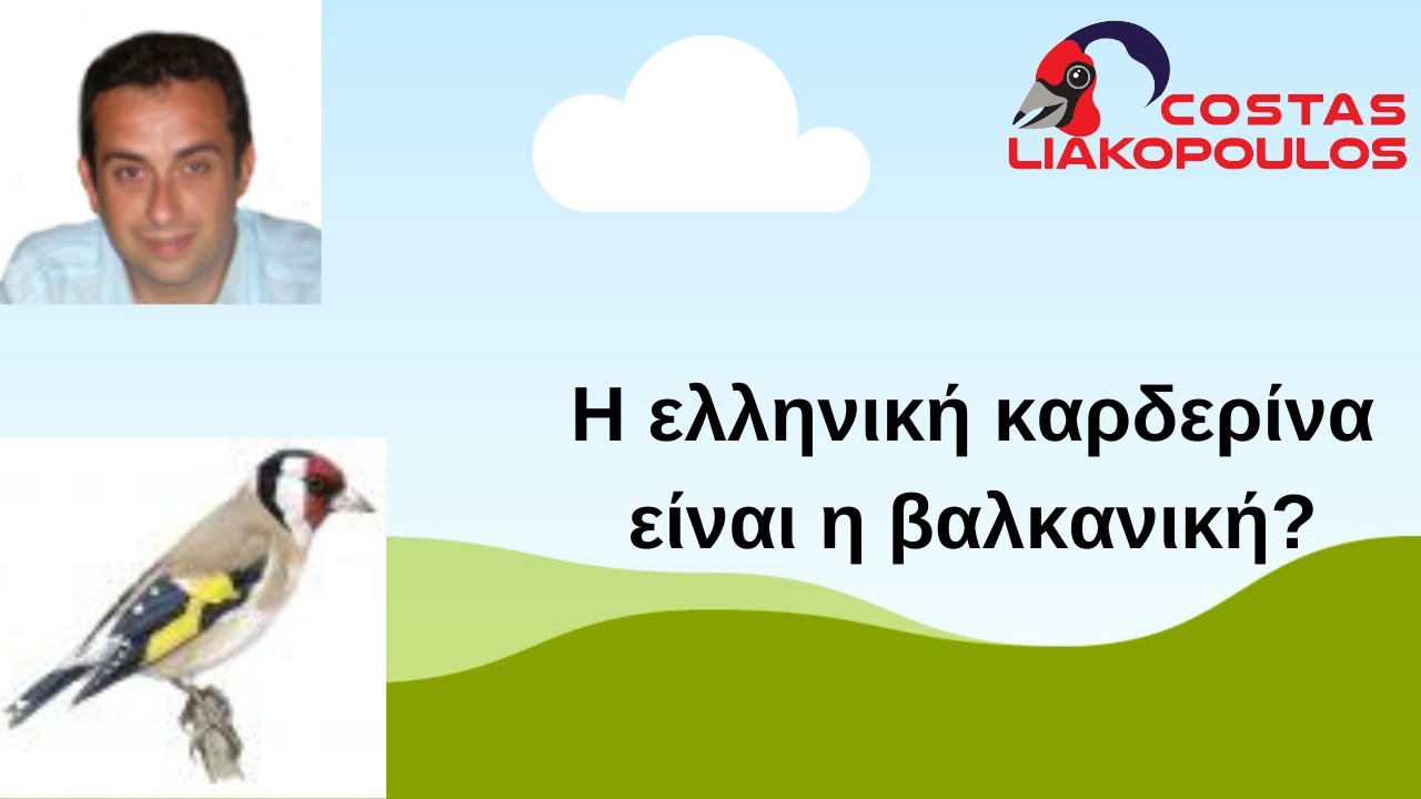 Η ελληνική καρδερίνα είναι η βαλκανική?