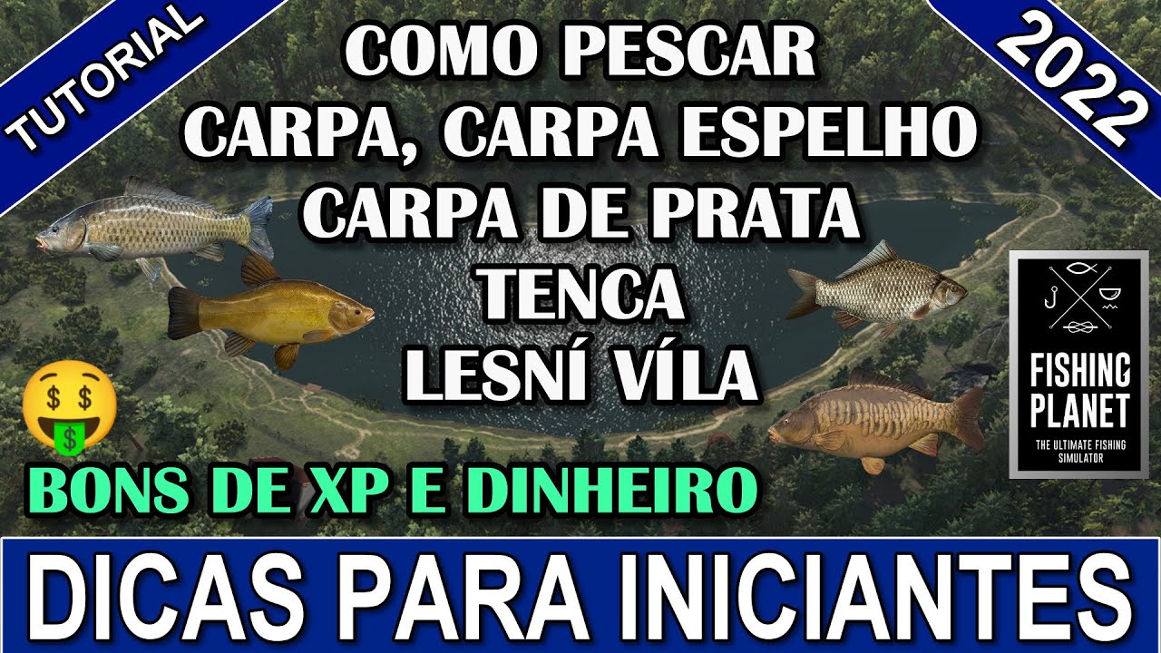 Pescando Carpa, Carpa espelho, Carpa de troféu e Tenca em Lesní Víla - Fishing Planet 🎣