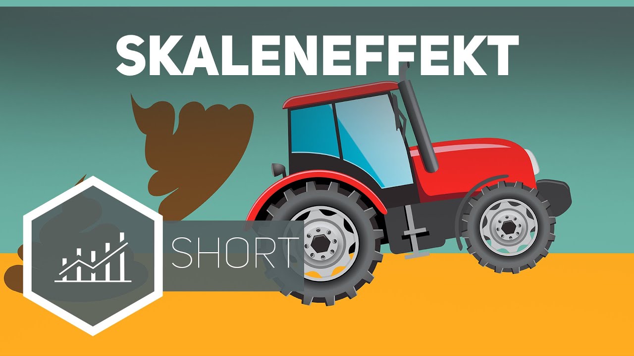 Skaleneffekt &ndash; Grundbegriffe der Wirtschaft