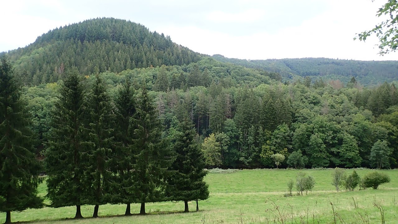 Wandelen door de natuur in Duitsland bij Dedenborn in Simmerath; #Vlog277