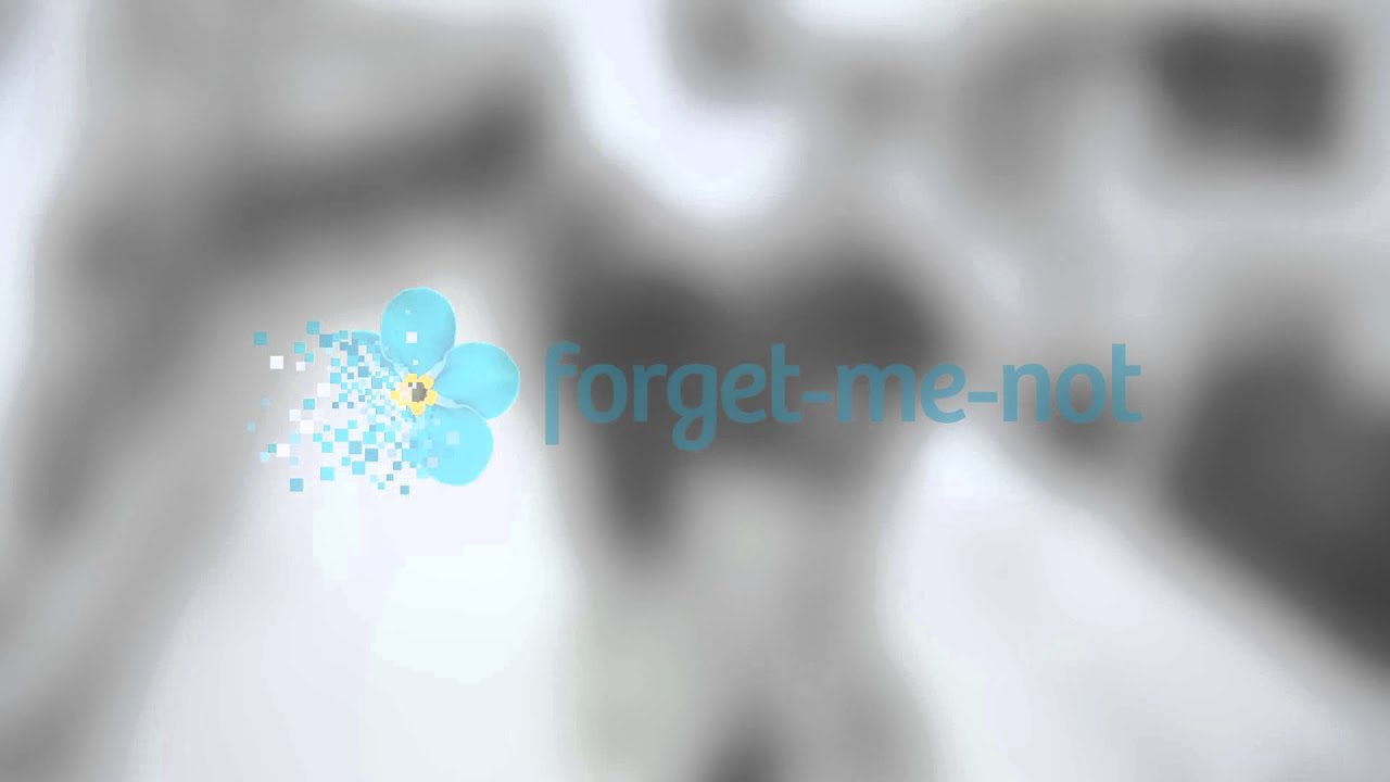 forget-me-not | Organizing Your Photographs, Preserving Your Memories
