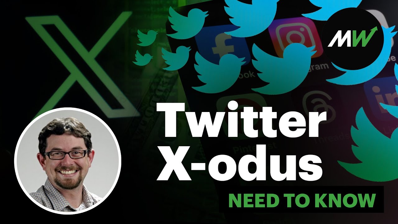 Twitter X-odus: how Musk helped make billions for rivals Meta, Reddit | Need to Know