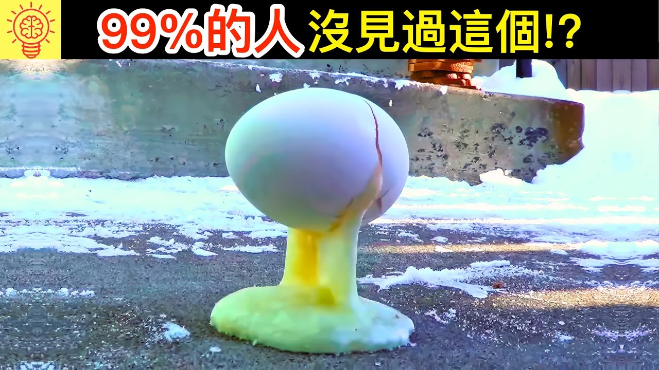 99%人都沒見過的驚人事物! 保證你一個都沒見過！