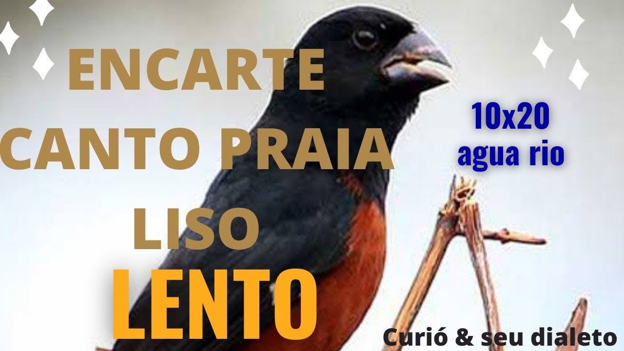 10X20 CANTO PRAIA LISO LENTO PARA ENCARTE | CURIO PRAIA LISO