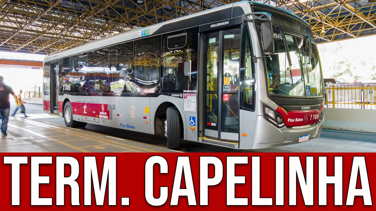 Terminal Capelinha - Terminais SP 2021 #19