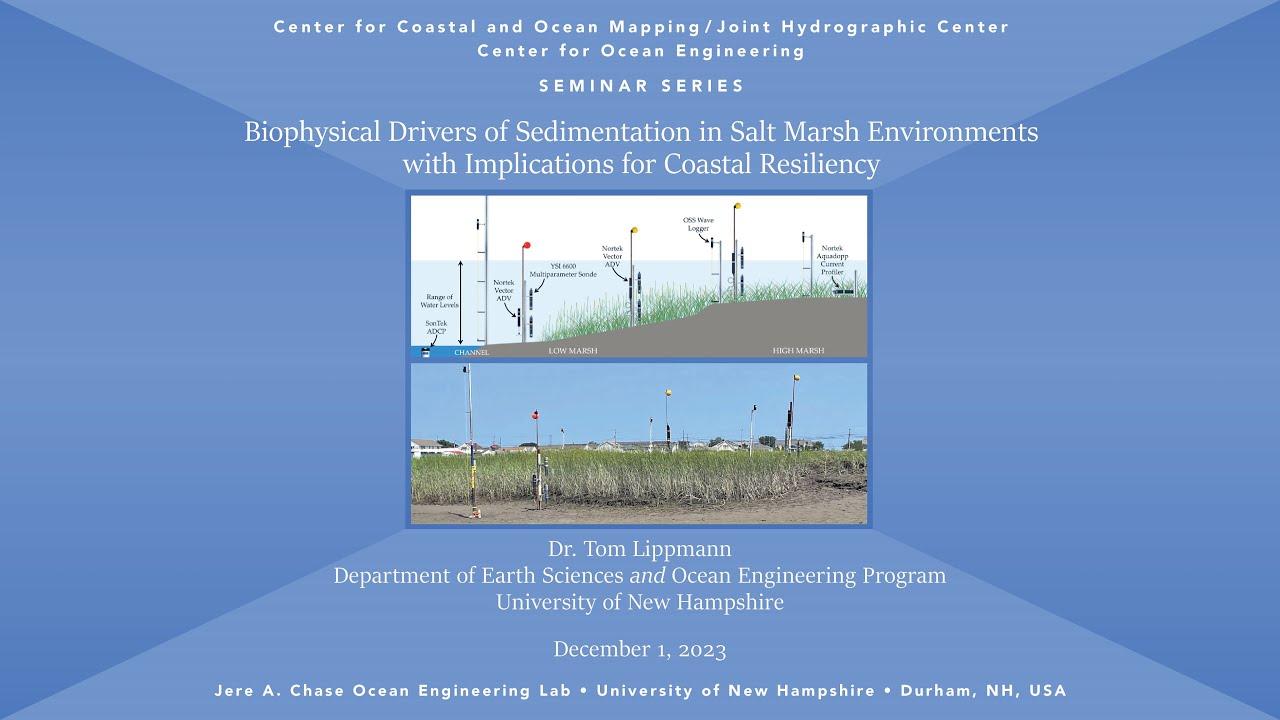 Biophysical Drivers of Sedimentation in Salt Marsh Environment Implications for Coastal Resiliency