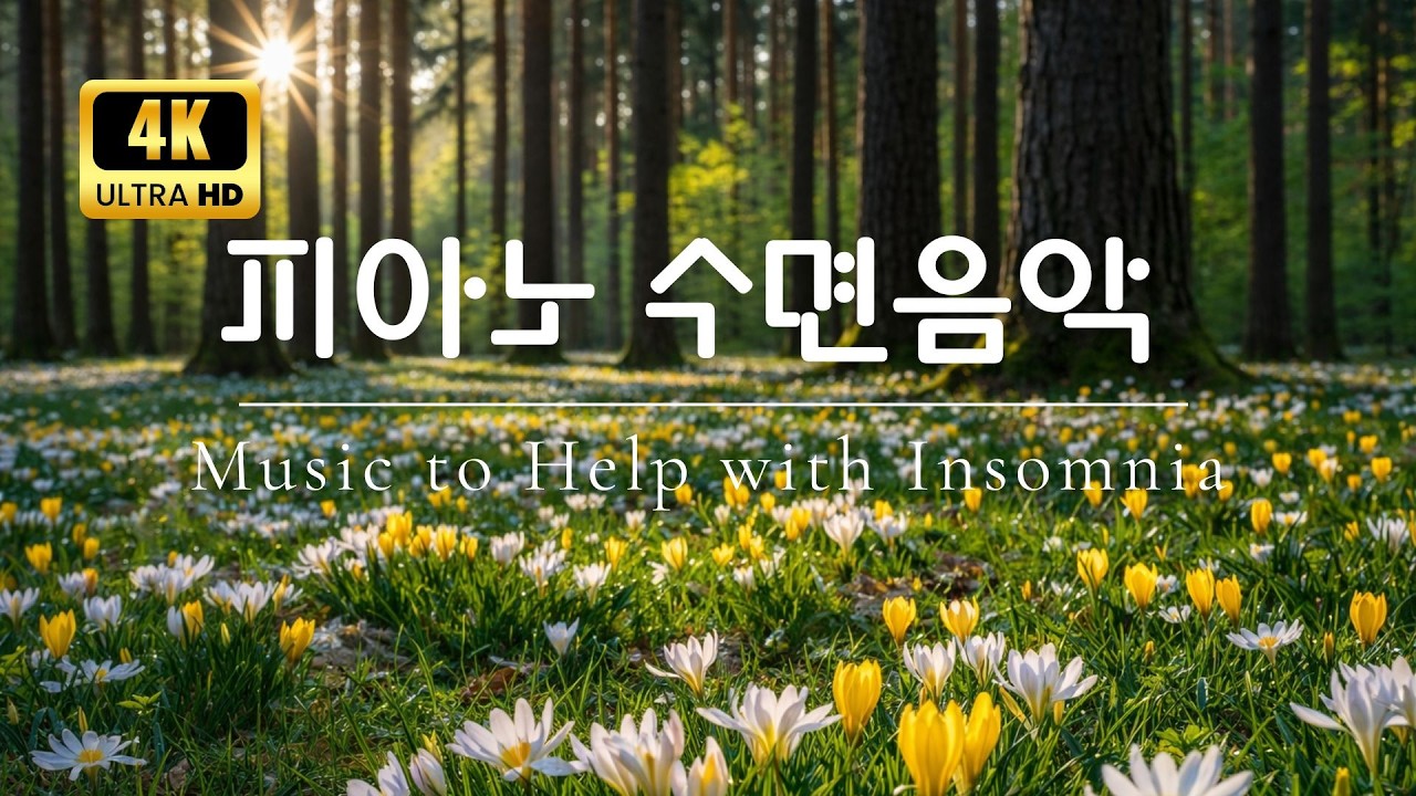 힐링 피아노 음악 🌿 마음이 편안해지는 아름다운 피아노 명상음악