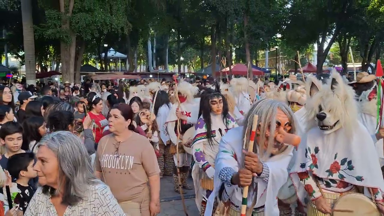 Judios de mochicahui llegando de las corridas segundo viernes 2026 tarol