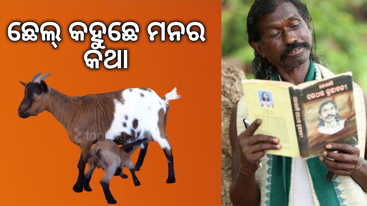 ହଳଧର ନାଗ ଙ୍କ କବିତା ଦେଖତ୍  || Haldhar Nag New poems  || koshali kabita