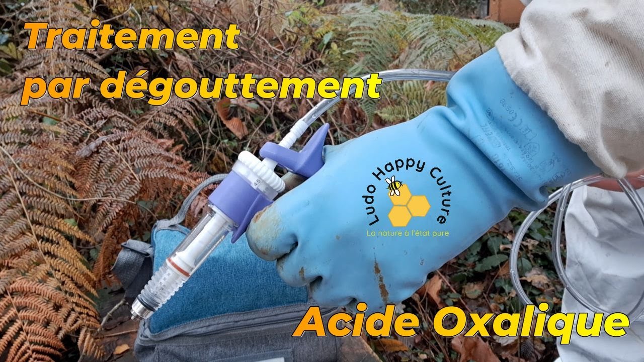 Saison 1 E41: Traitement acide oxalique par dégouttement