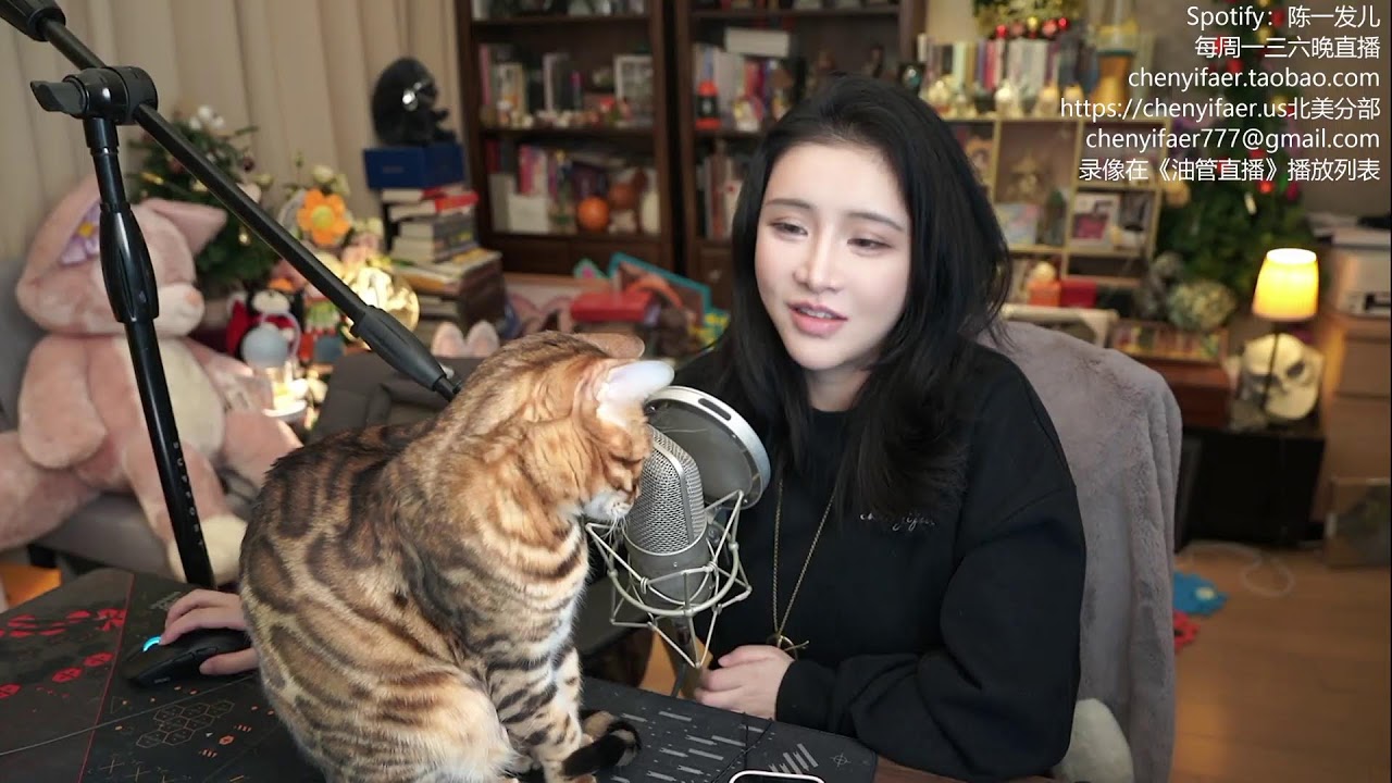 陈一发儿：~❤周一放映室~佳片有约~今天看点儿啥？❤~ （20260223）