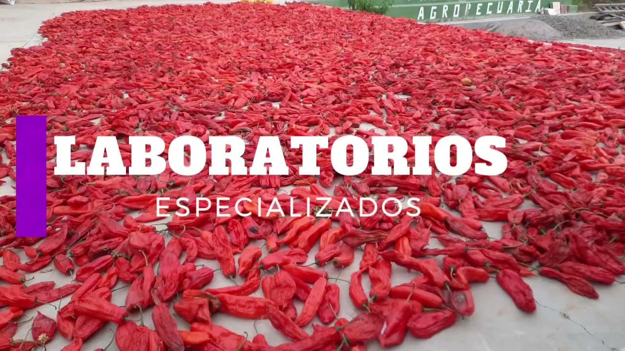 PRODUCCION AGROPECUARIA ALCALA FACULTAD CIENCIAS AGRARIAS USFX
