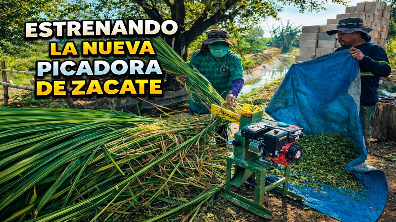 ESTRENANDO la nueva PICADORA de ZACATE de la Finca del Patechucho 😎🌿