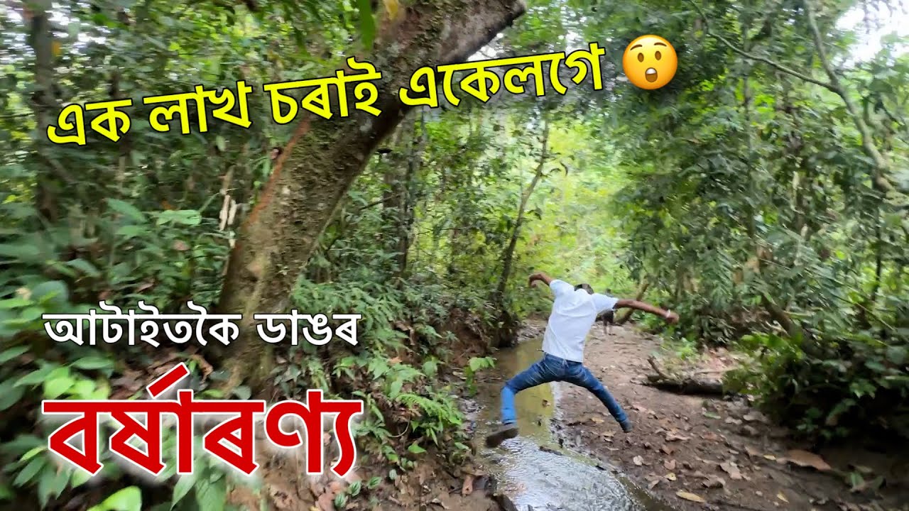 ভাৰতৰ আটাইতকৈ ডাঙৰ বৰ্ষাৰণ‍্য অসমত আছে - এক লাখ চৰাই একেলগে 😲🫨 episode 1 : Exploring Rainforest
