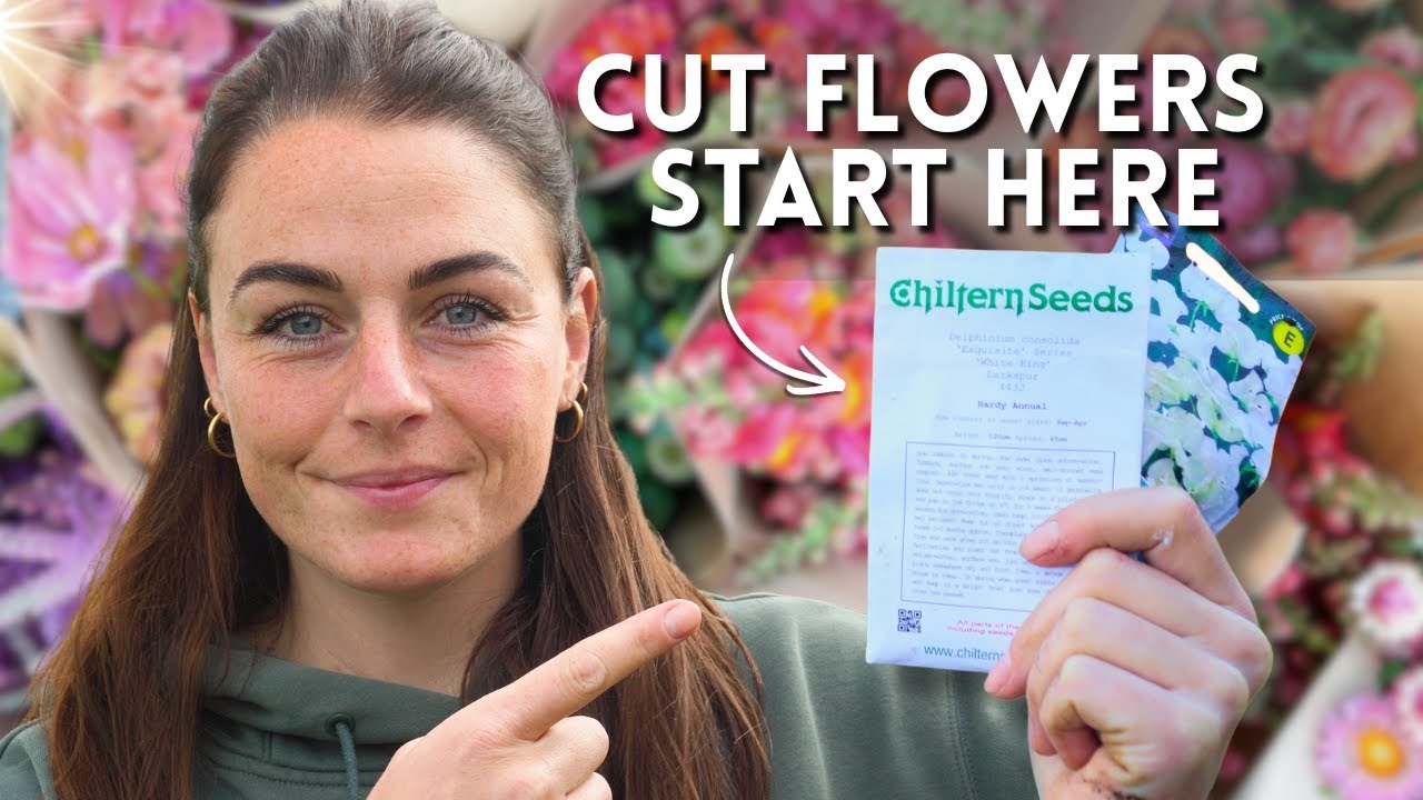 When & How to Start Cut Flower Seeds (Beginner Friendly)