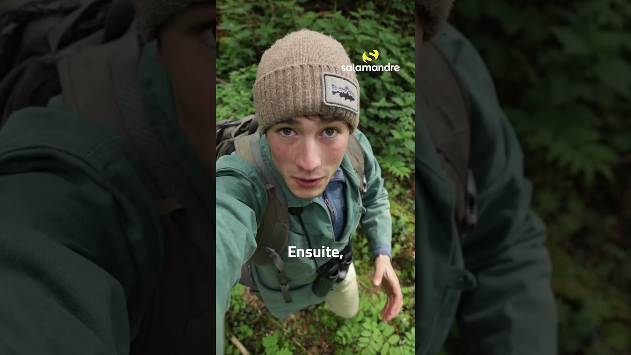 Comment observer des renardeaux ?