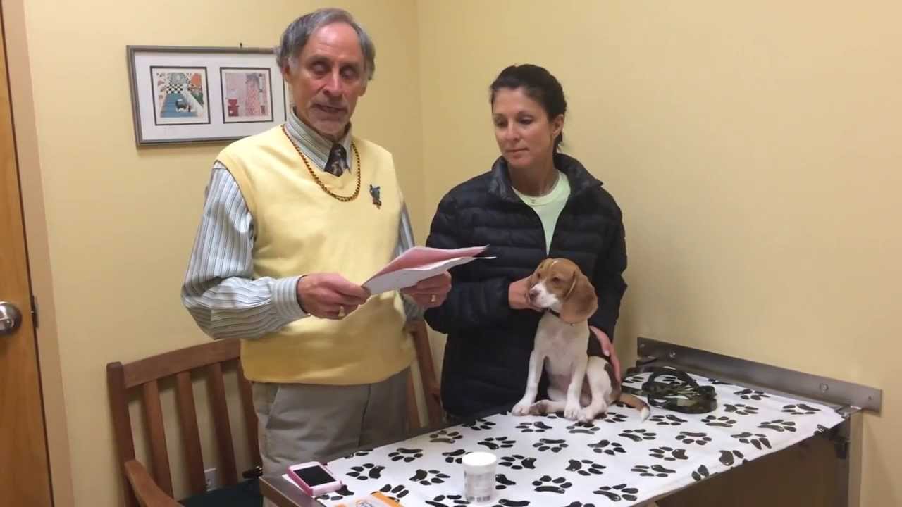 Dr.Marty Goldstein - Vaccinations