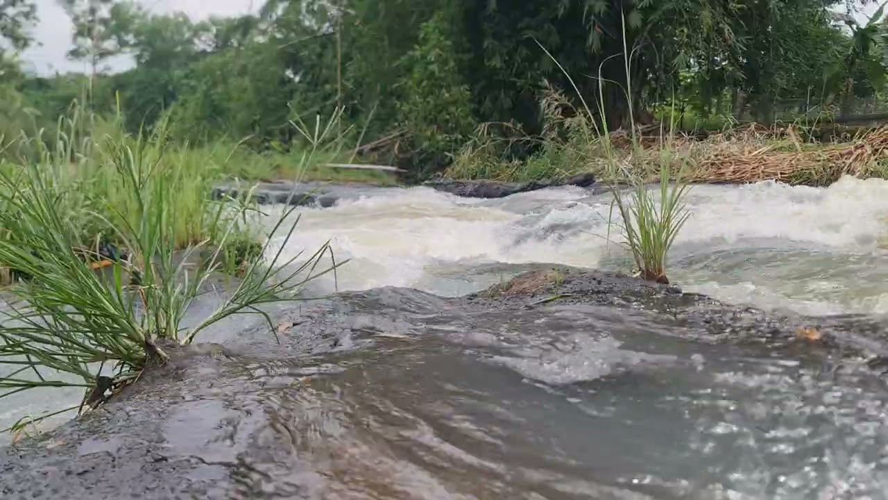 Relaxing River Water Flow ASMR 🌊 | Natural Stream Sounds for Sleep, Study & Relaxation flow ASMR