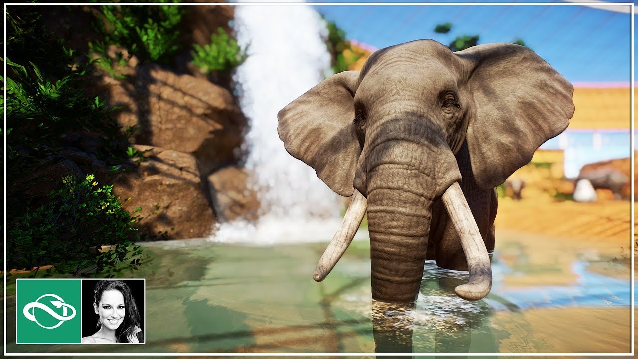 🐘 African Elephant indoor habitat | Speed Build | Planet Zoo | BETA |