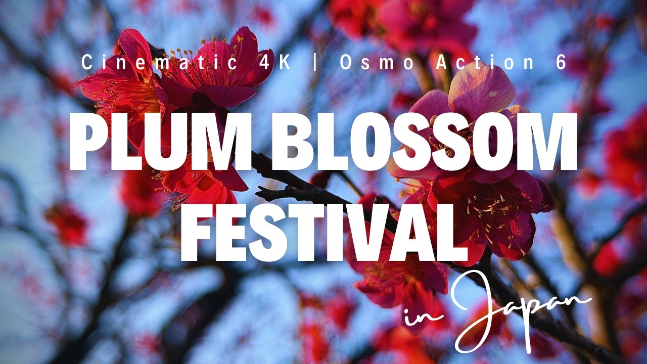 【4K Cinematic】Evening Plum Blossoms Festival in Japan | DJI Osmo Action 6