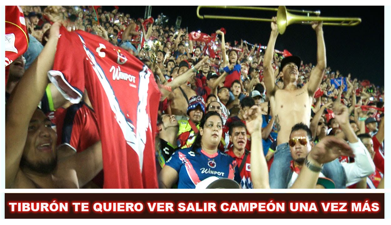 Tiburones Rojos (Porra) Tiburón te Quiero Ver Salir Campeón