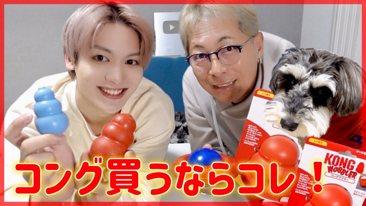 🐶【コング】4種類使ってわかった最強はコレ！正直レビュー！