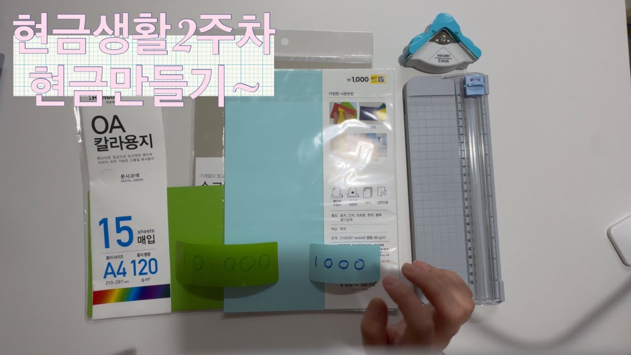 (3) 2주차 현금생활 