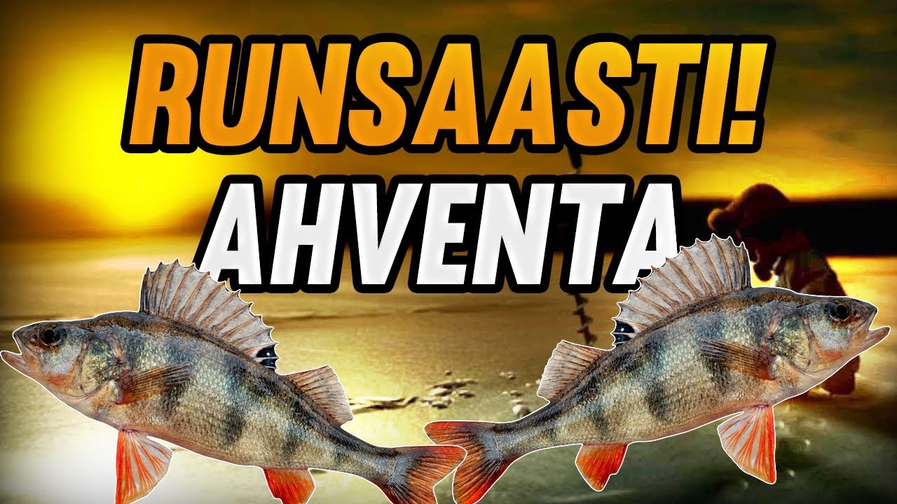 Pro Pilkki 2 | Runsaasti Ahventa!