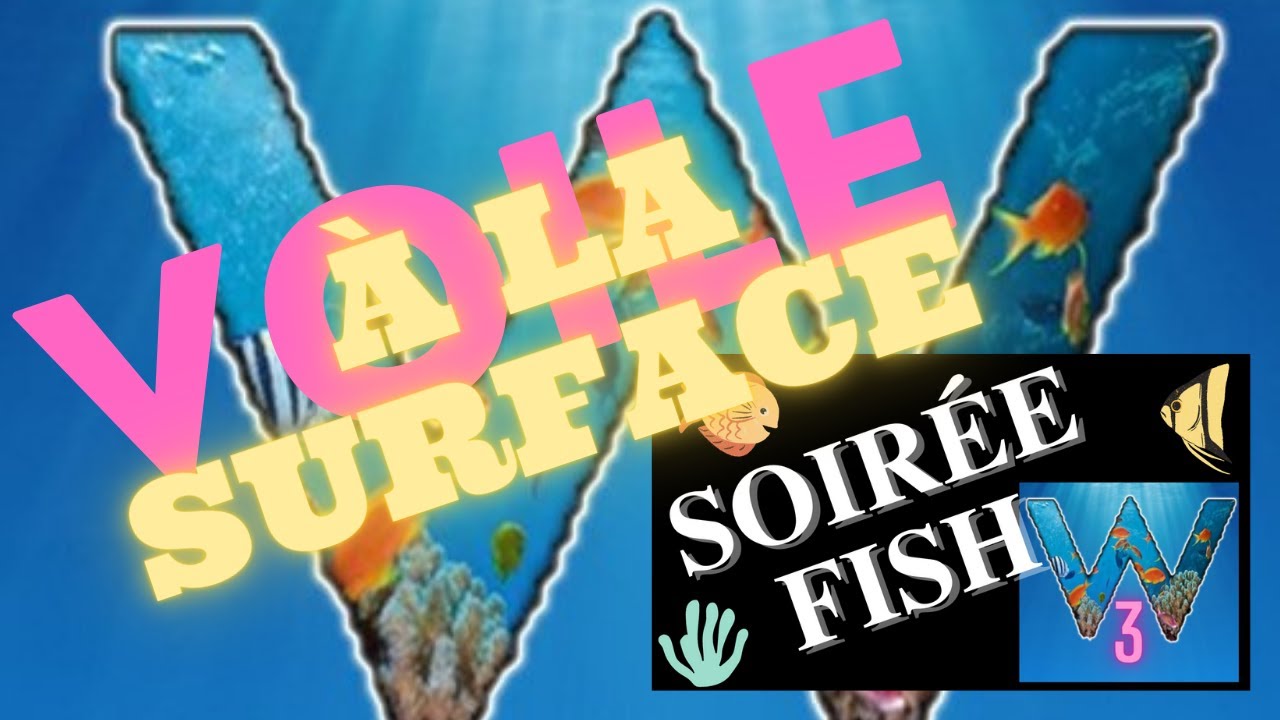 voile en surface