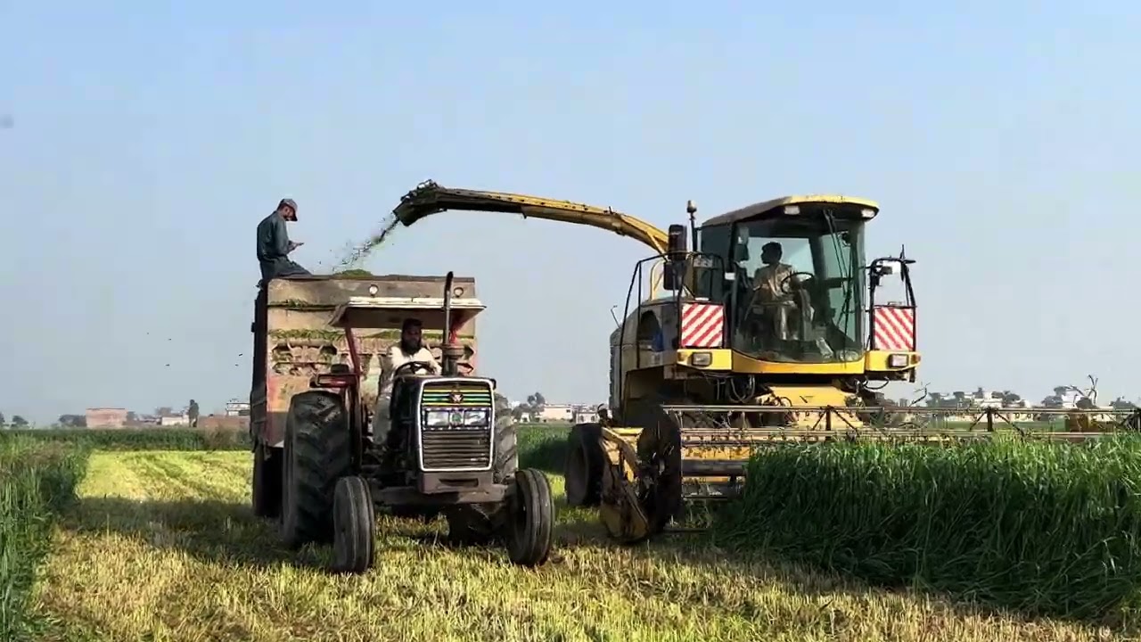 Sahi agro service Pakistan 