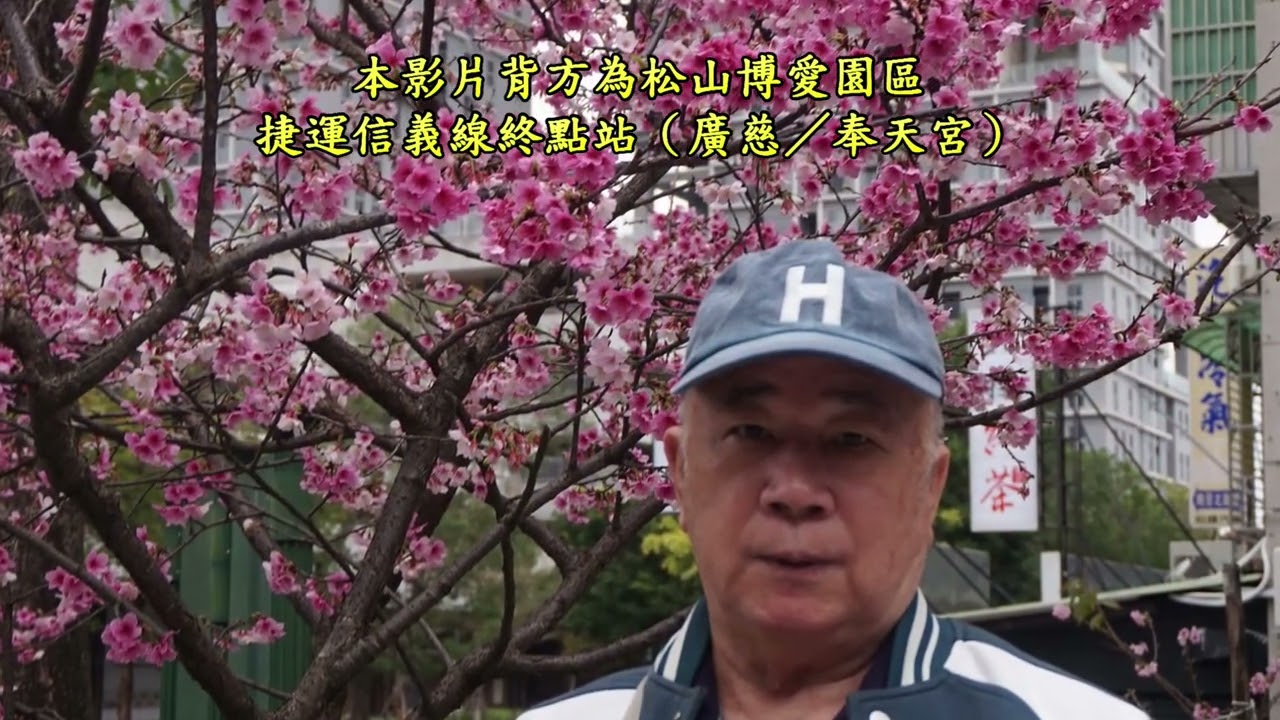 2026丙午馬年－福德公園櫻花、奉天宮