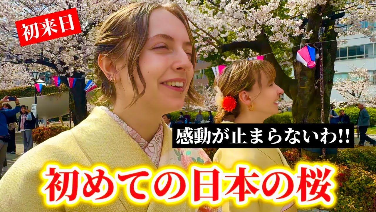 はじめての着物で桜を見た外国人の喜びが止まらない!!