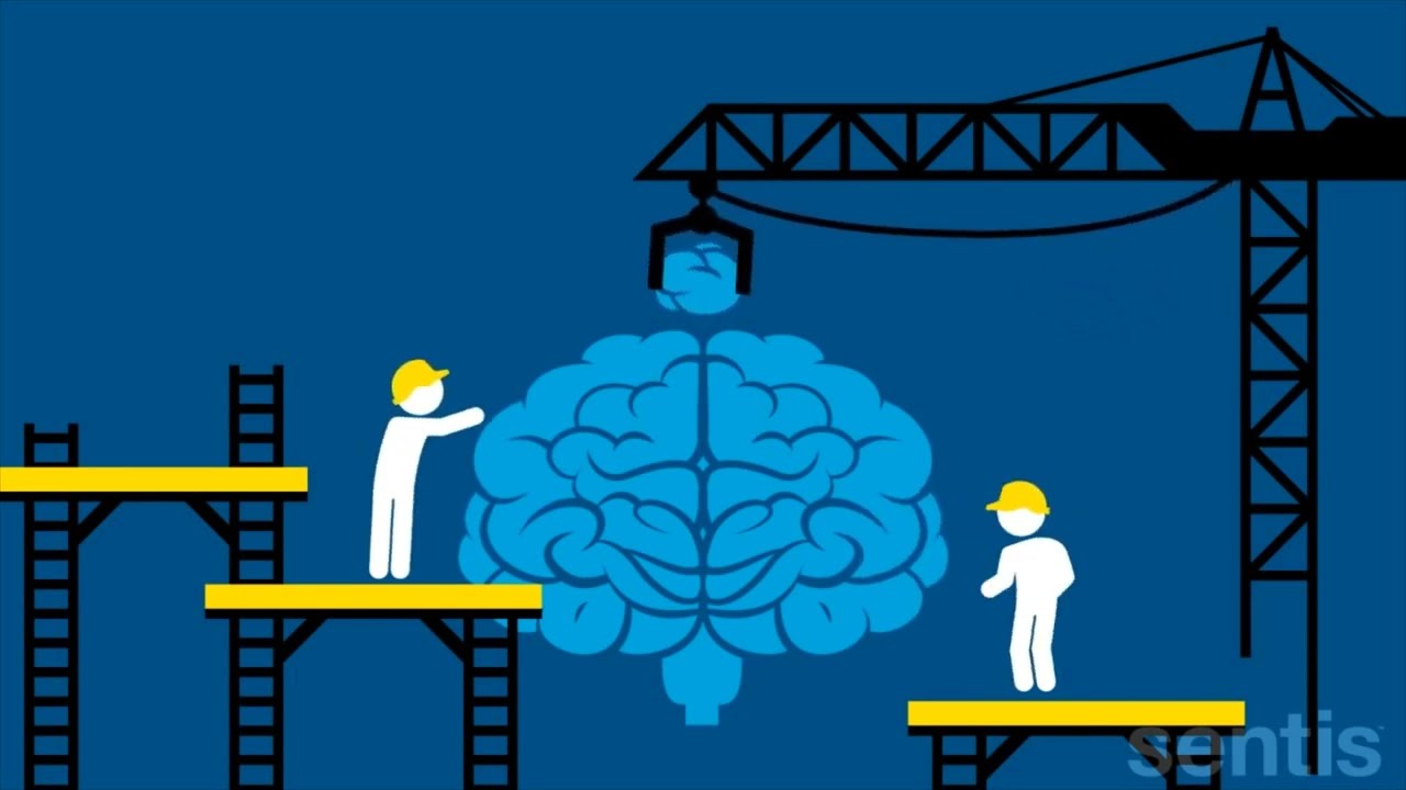 Neuroplasticity Arabic المرونه العصبيه عربي