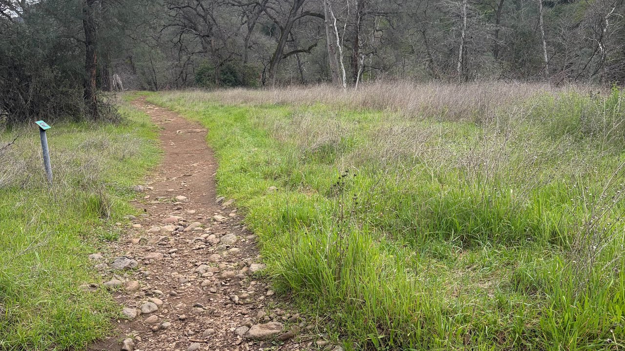 Mendo National Forest