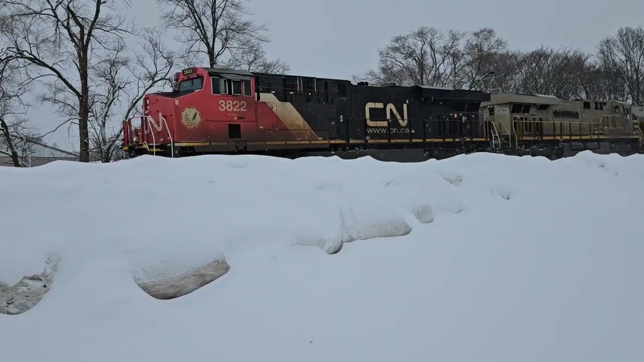 CN M397