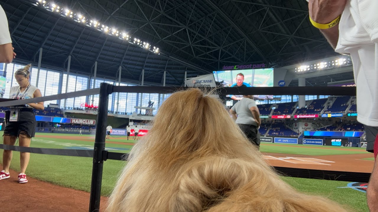 Моя собака делает первый бросок на игре MLB!