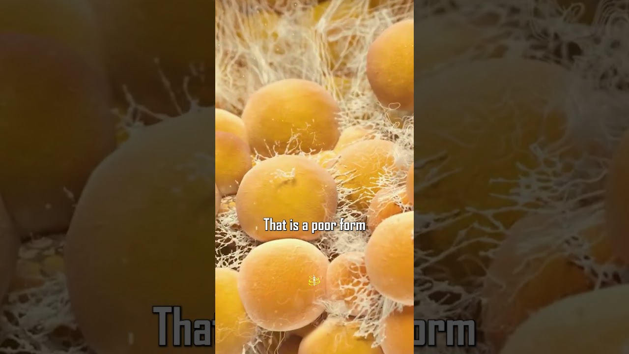 Your Brain NEEDS The Animal FAT! 👉