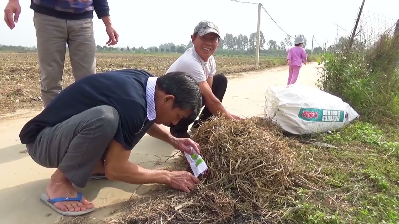 Lợn thả đồng om giềng.Tiết canh mát lịm cho ngày cuối năm