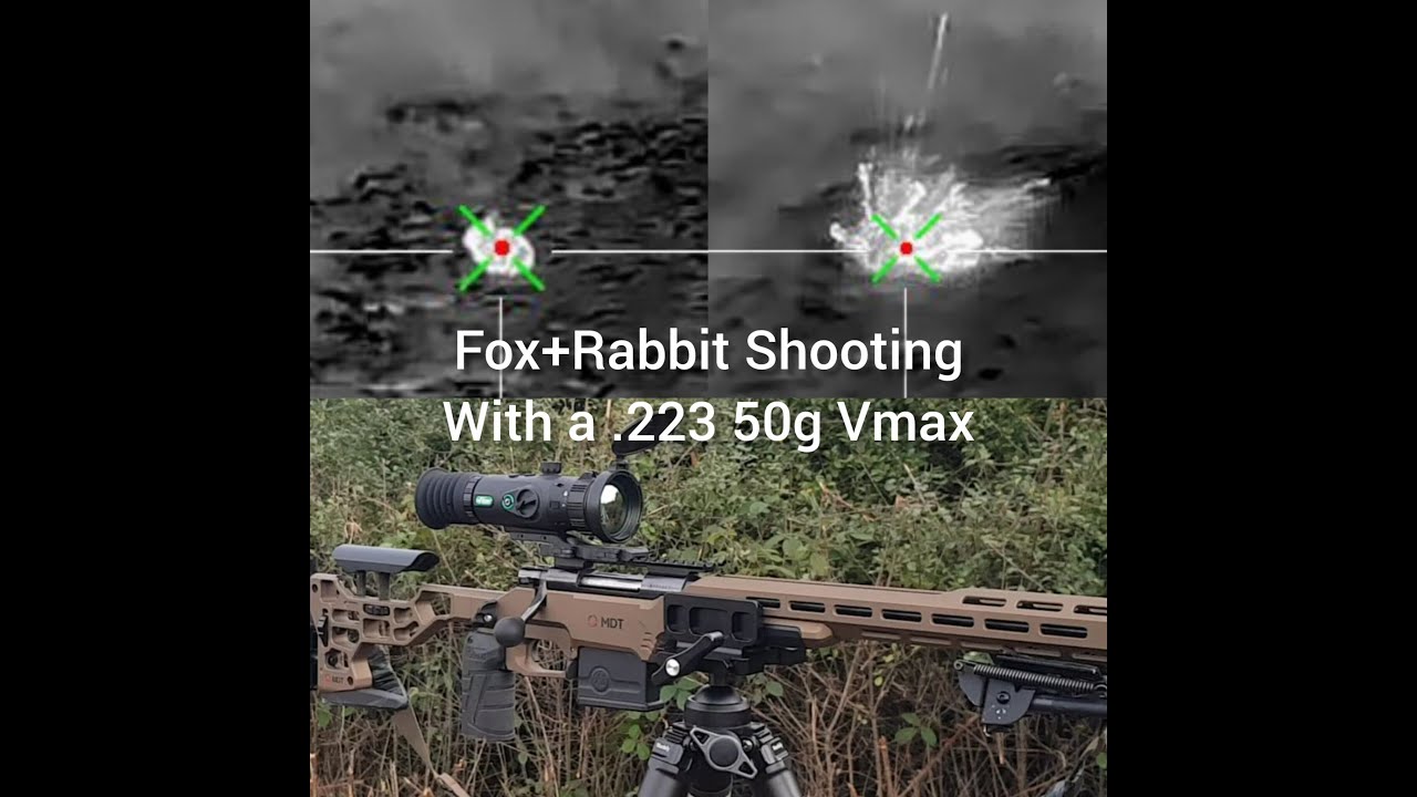 Fox & Rabbit Shooting with a .223 and Oneleaf mars MT1000 LRF Thermal rifle scope