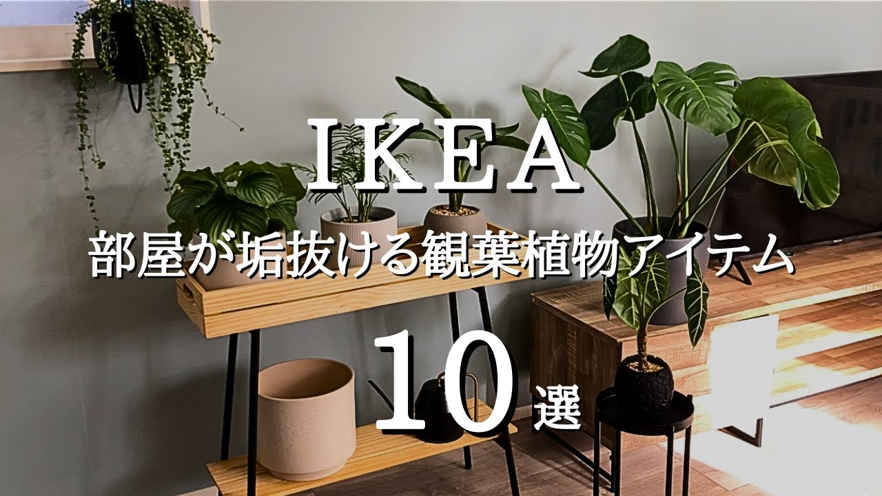 【IKEA】おしゃれでコスパのいいおすすめ観葉植物アイテム10選｜鉢カバー・スタンドなど