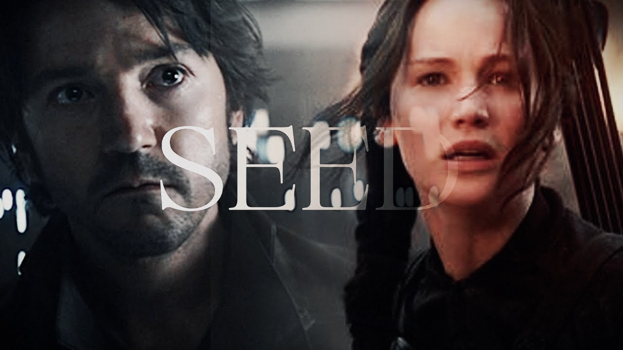 multifandom | 