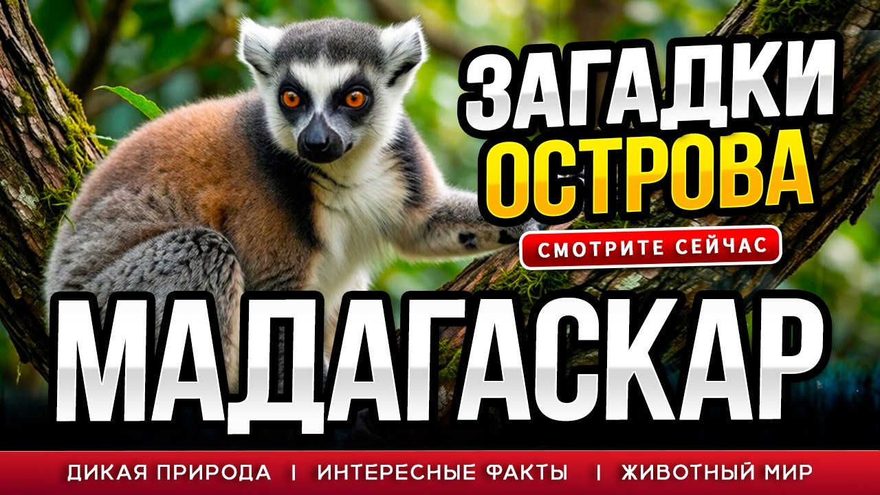 ЗАГАДКИ МАДАГАСКАРА!!! Что Скрывает Остров Лемуров? #остров