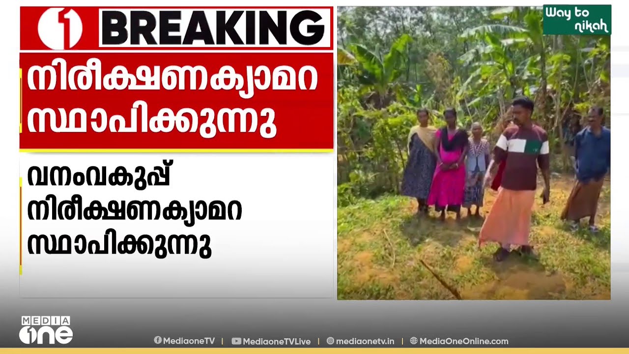 വളർത്തുനായയെ വന്യമൃഗം കൊന്നു.. നിരീക്ഷണ ക്യാമറ സ്ഥാപിച്ച് വനം വകുപ്പ്