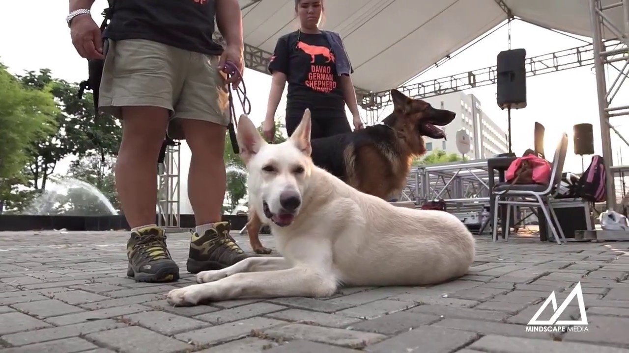 Davao Dog Lover's Community