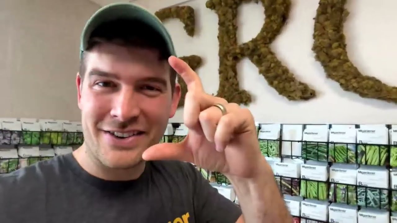 My Fave 5 List From EACH Variety!