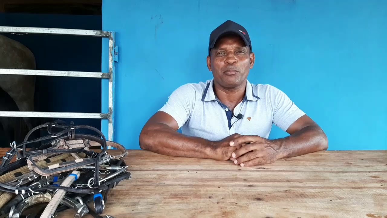 A DIFEREN&Ccedil;A ENTRE O BREQUE CARA DURA E O CARA MOLE(Professora)