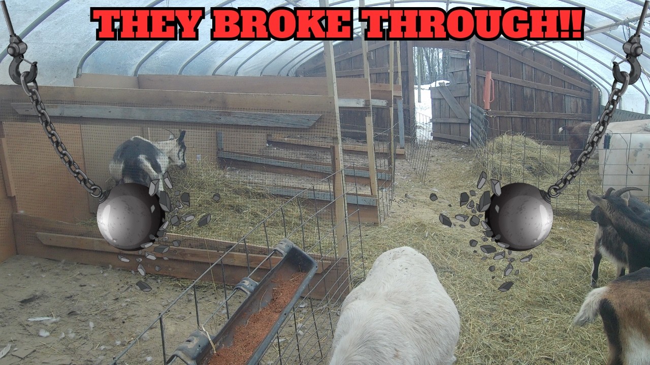 Greenhouse vs Goats: Round 2 - Building Stronger Barriers